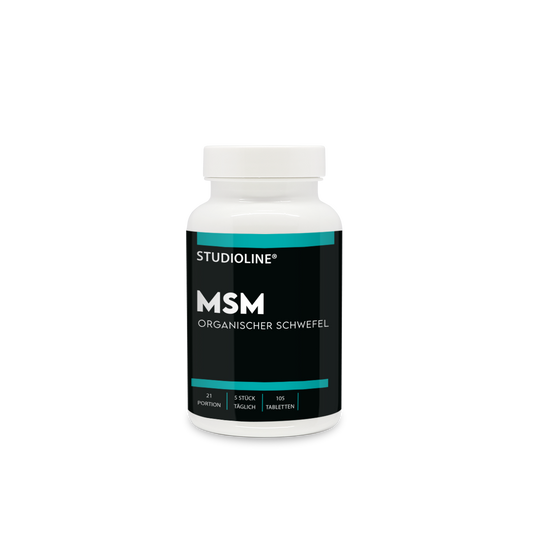 MSM Tabletten